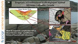 Enigmatic microstructures poster