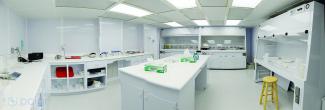 Class 100 clean laboratory with metal-free laminar flow hoods